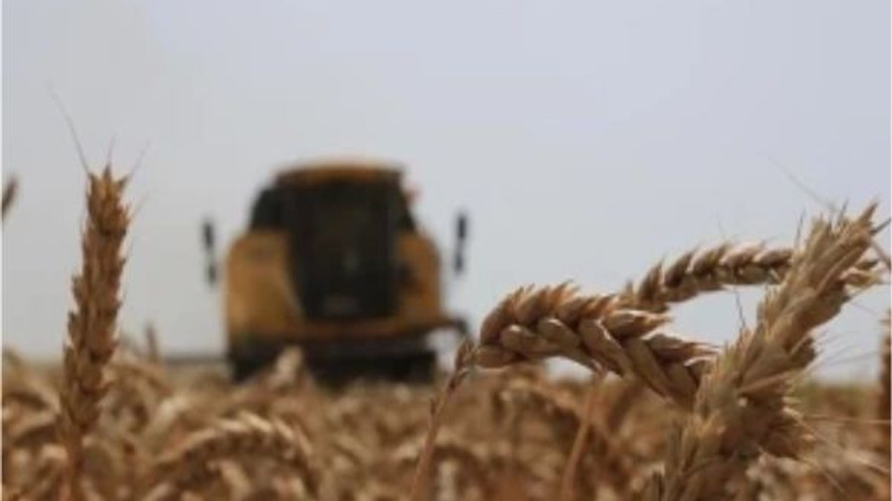 Türkiye'nin bitkisel üretimi 2023'te 137 milyon tona çıktı