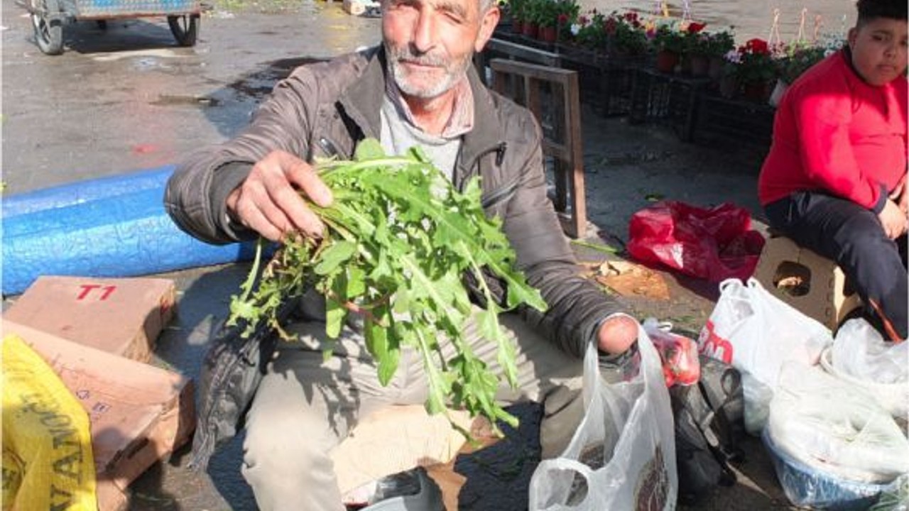 Burhaniye'de Otlar Geçim Kaynağı Oldu