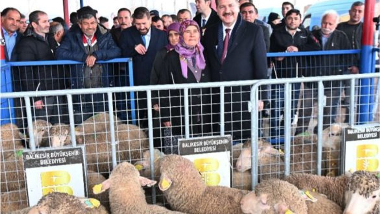 Balıkesir'de 550 Damızlık Sahiplerini Buldu