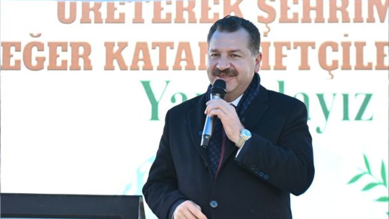 Büyükşehir, Sındırgı’da 550 damızlık dağıttı