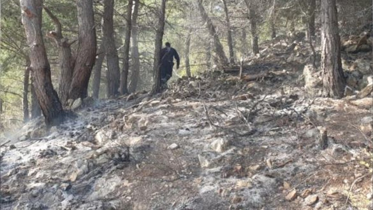 Kazdağları’nda orman yangını