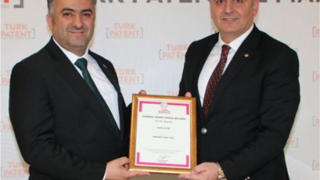 Edincik Zeytini Artık Coğrafi İşaret Altında