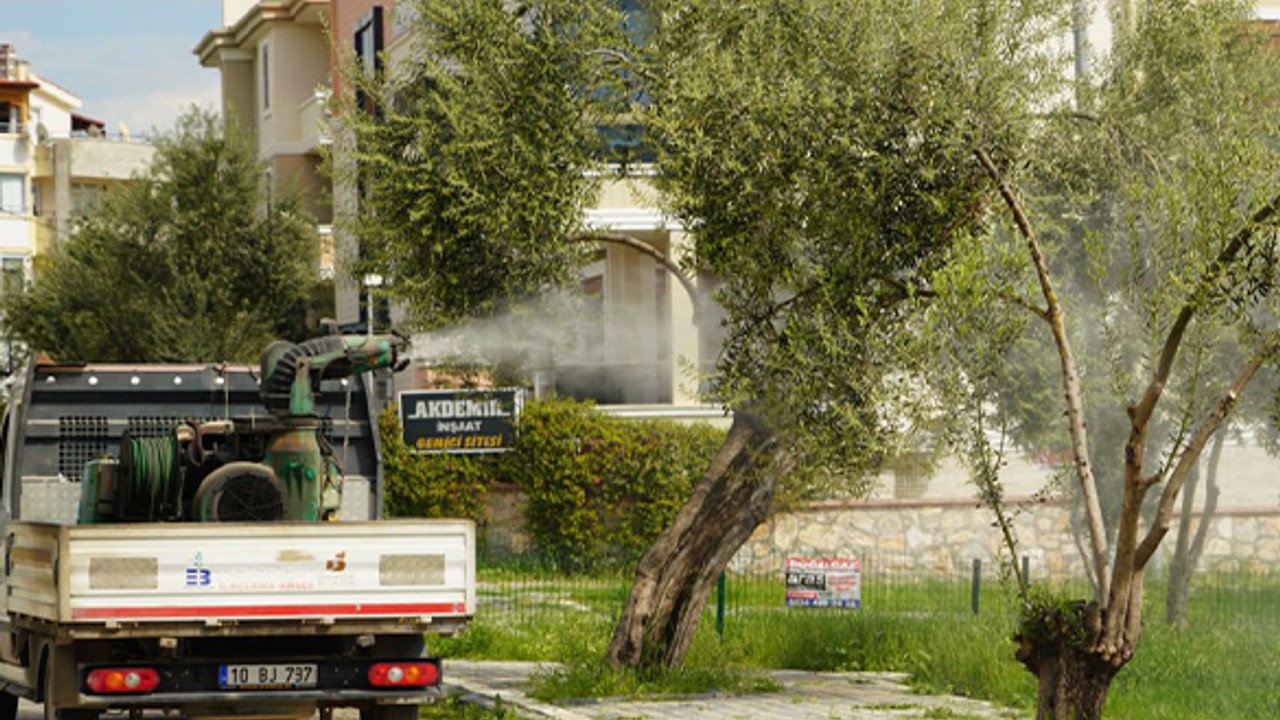 Edremit Belediyesi, Uçkunla Mücadele İçin Seferberlik Başlattı