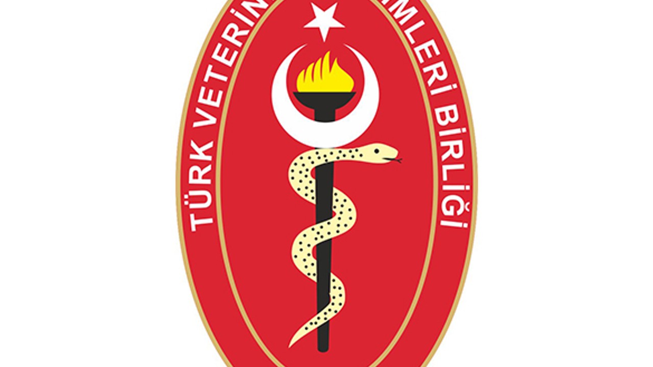 Türk Veteriner Hekimleri Birliği'nden Dünya Sokak Hayvanları Günü Basın Açıklaması
