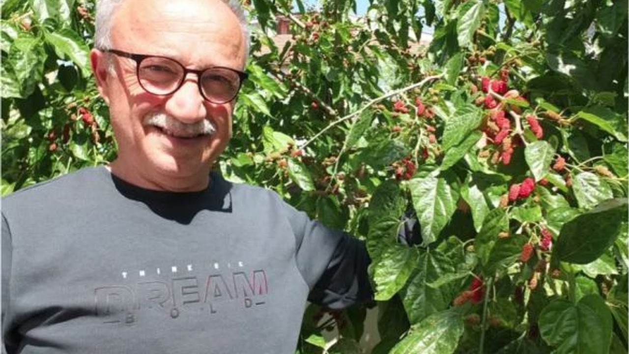 Burhaniye'deki Baharın İlk Meyveleri Kendini Gösterdi