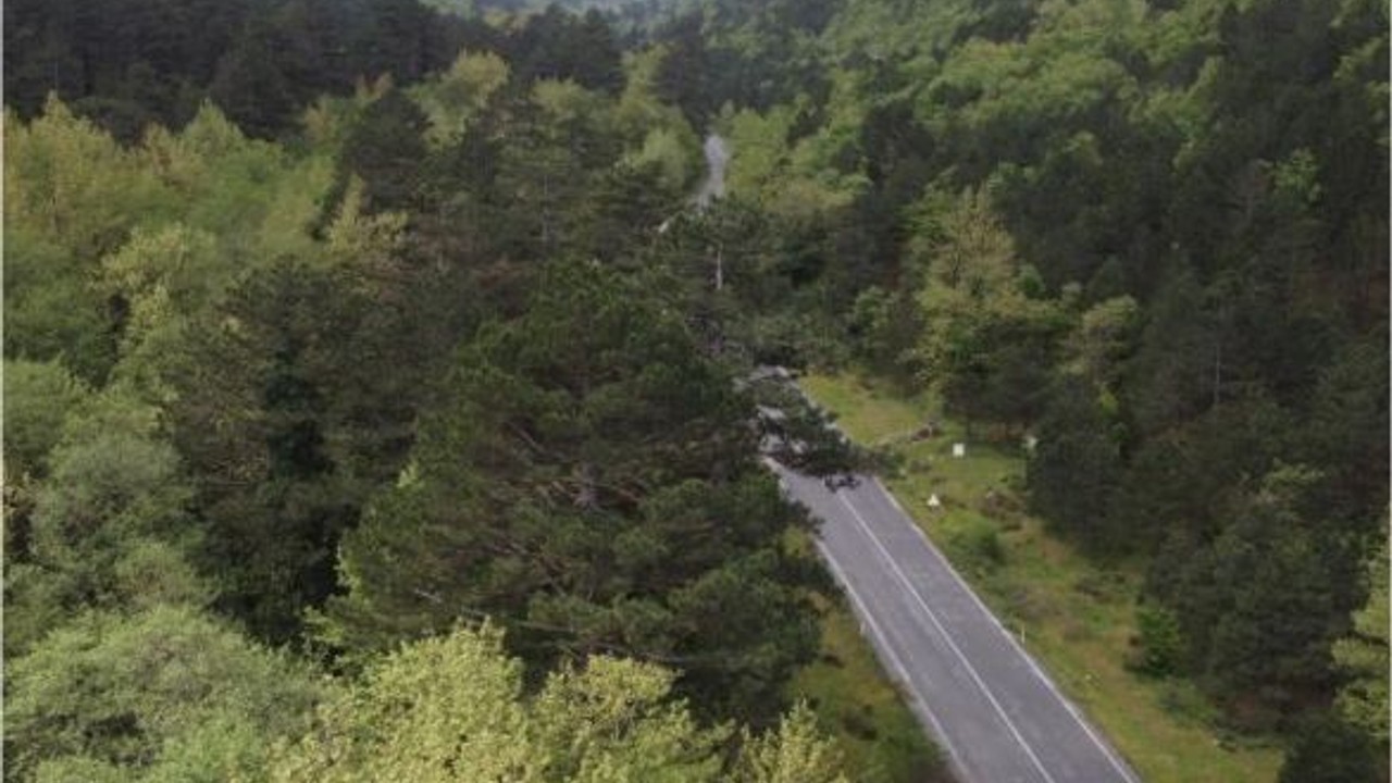Kazdağları'ndaki Renk Değişimi Dikkat Çekti