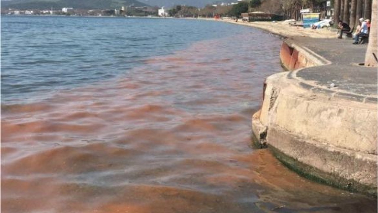 Marmara Denizi'nden Kırmızı Alarm!