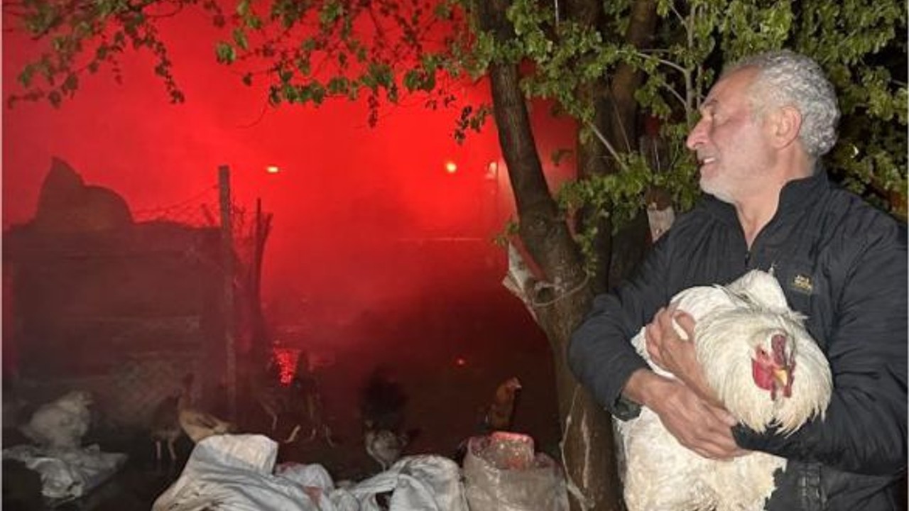 Yangından kurtardığı tavuğuna böyle sarıldı