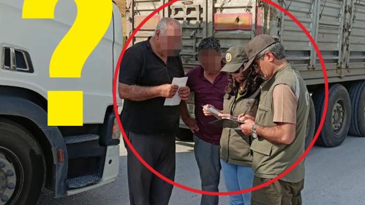 Hepsi Aynı Kağıda Baktı! Balıkesir'de 4 Adamı Şaşırtan Ceza
