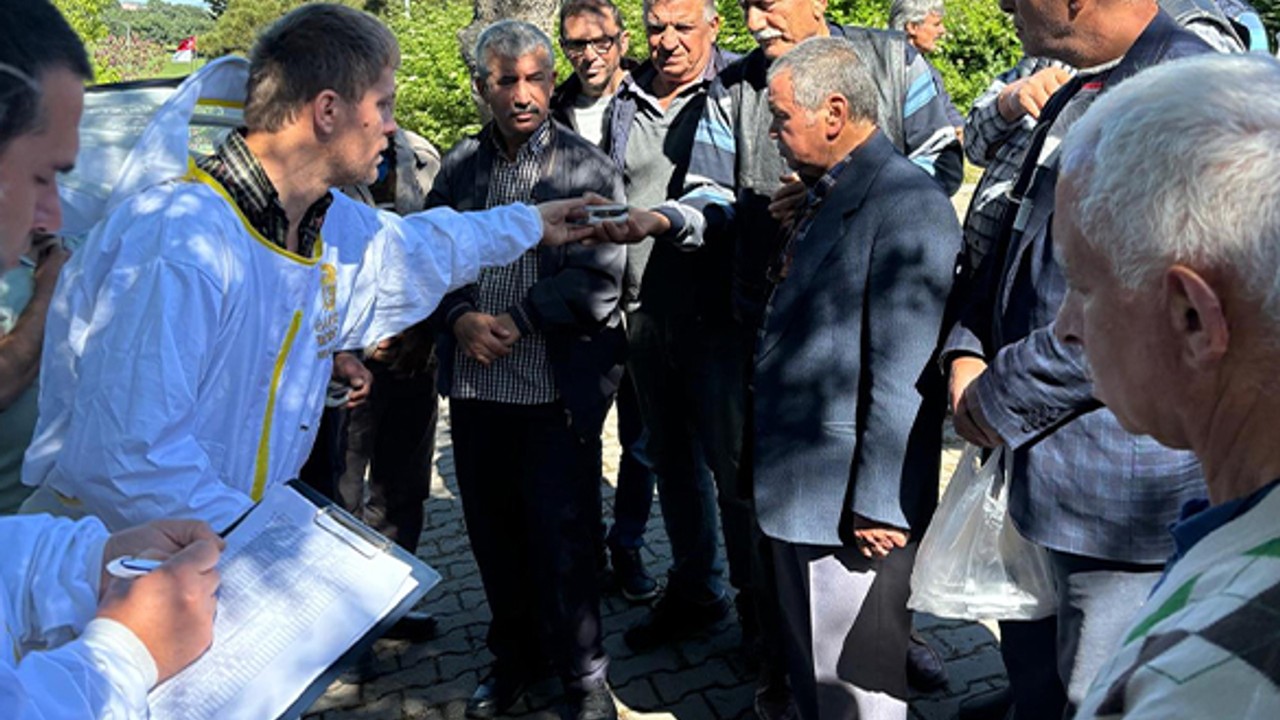 Balıkesir'de Arı Yetiştiricilerine Hibe İle Yüzük