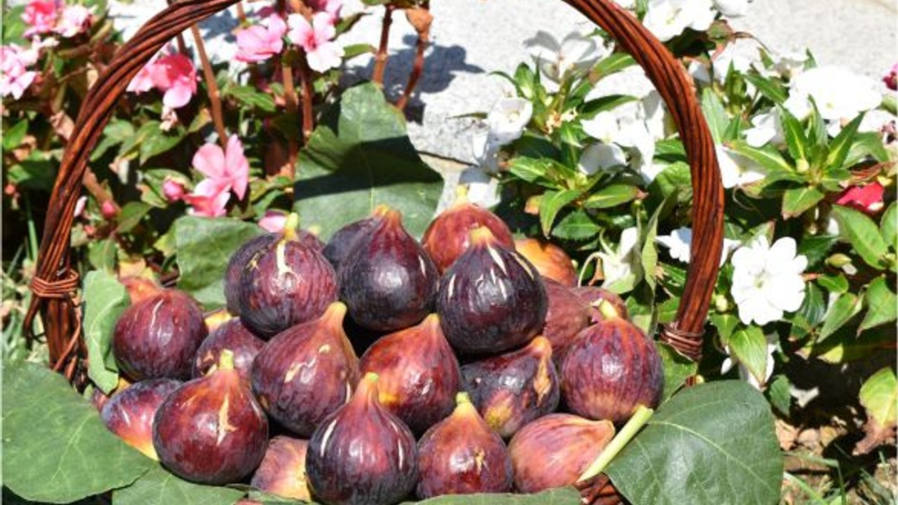 Havran Siyah İnciri ile Kolay Tatlı Tarifi