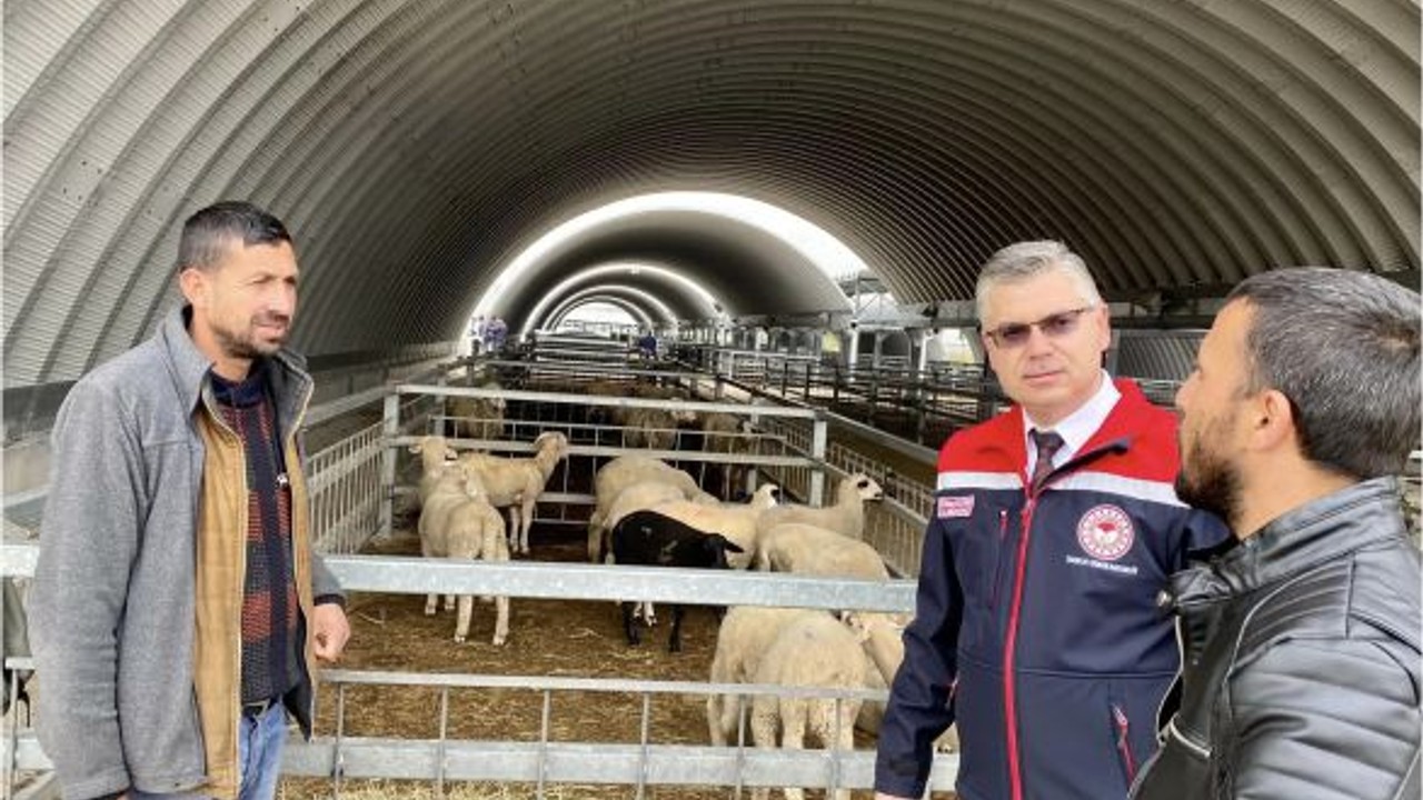 Müdür Alkan: "Kurbanlık Seçiminde Bunlara Dikkat Edin"