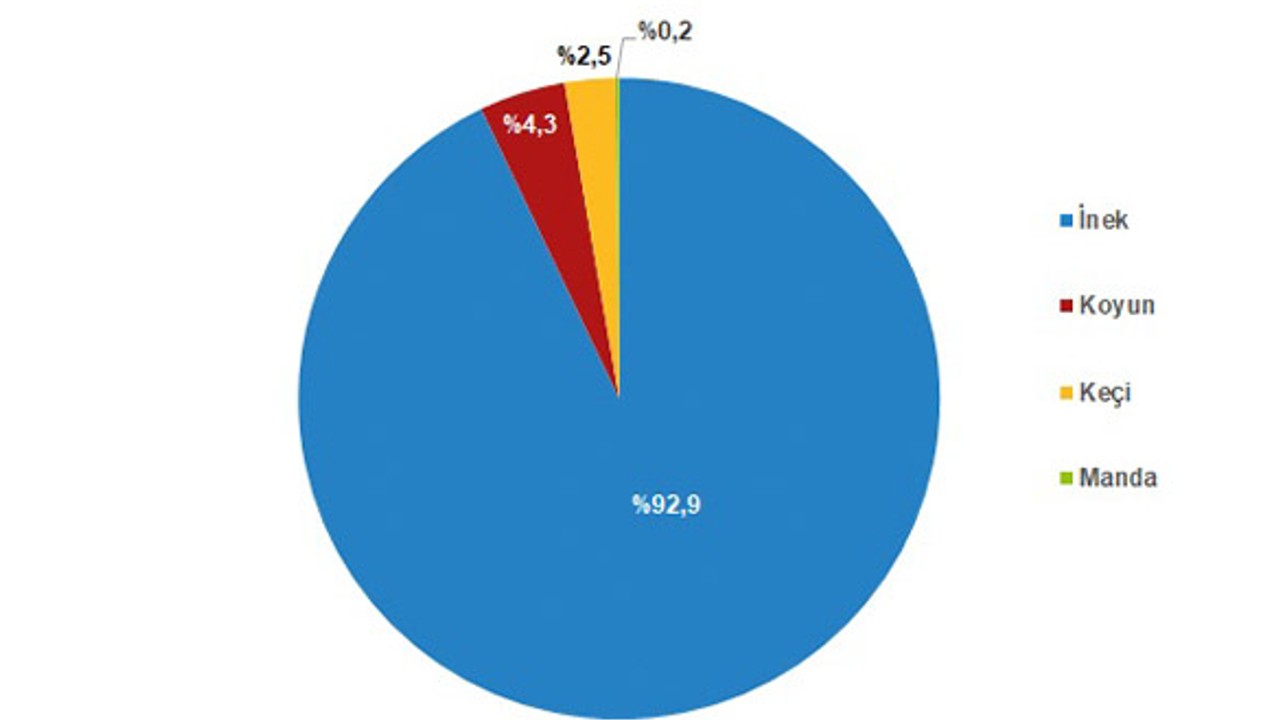 TUİK 2023 Çiğ Süt Üretim İstatistiklerini Açıkladı