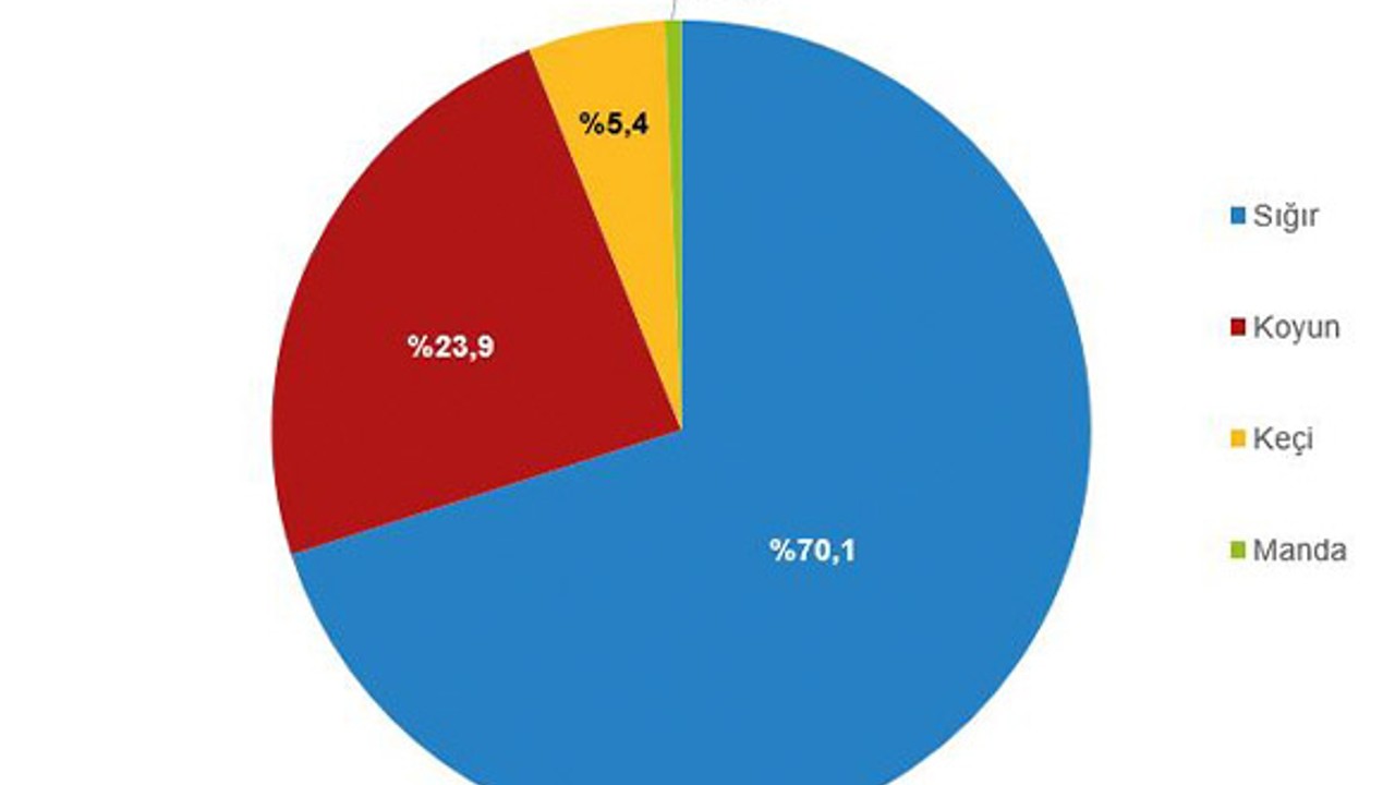 TUİK 2023 Kırmızı Et Üretim İstatistiklerini Açıkladı