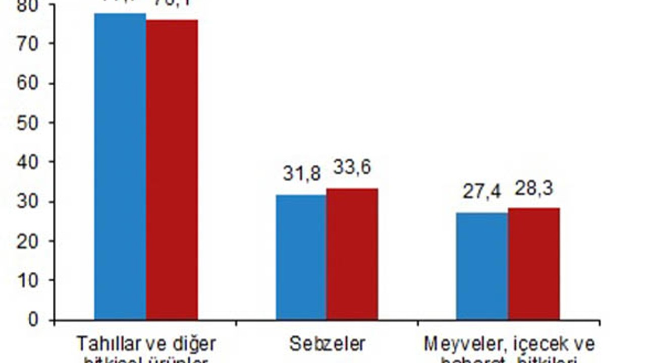 TUİK Bitkisel Üretim 1.Tahminini Açıkladı