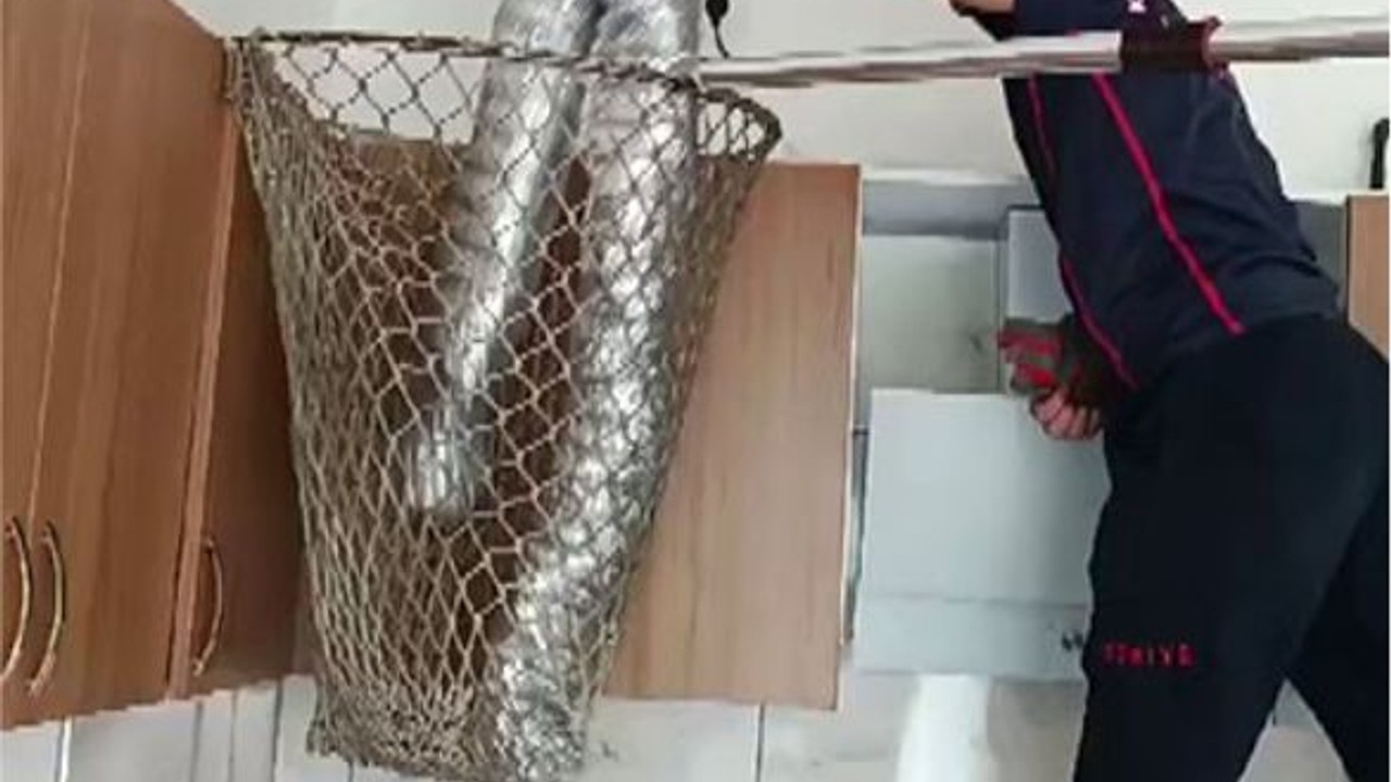 Güvercin Kurtarma Operasyonu