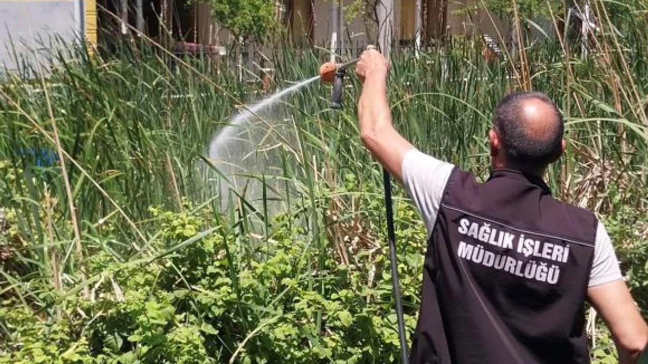 Erdek’te İki Günde Larvalara Son!