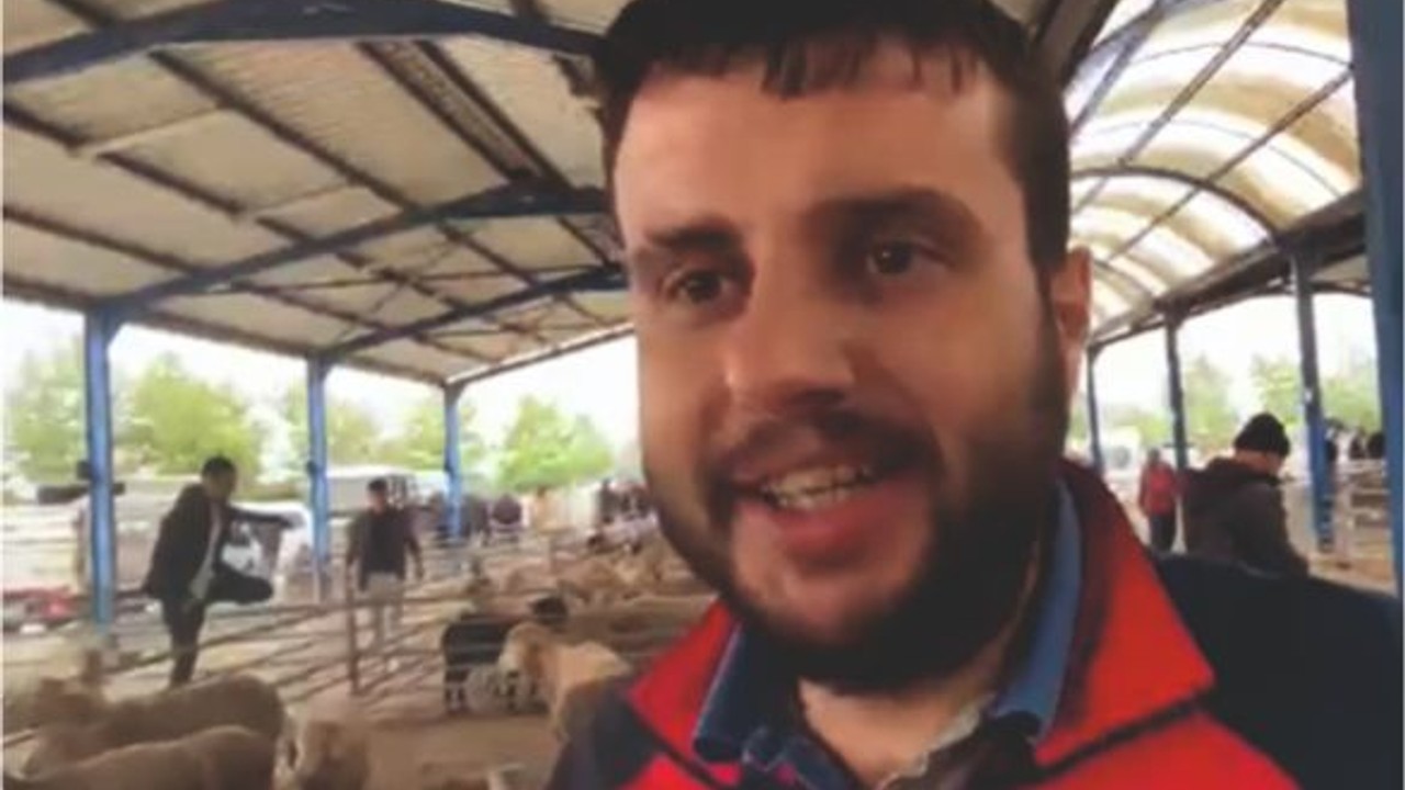BALIKESİR'DE 2 KUZU KOYUN KAÇ TL'YE ALINIR?