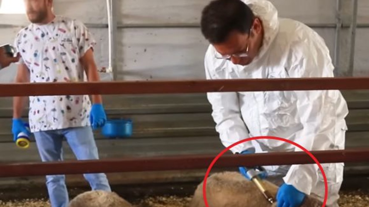 Başkan Sak Aşılarını Bizzat Kendisi Yaptı!