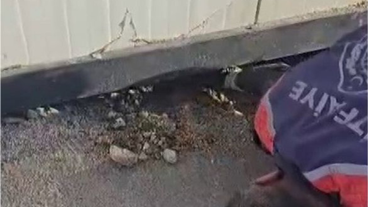 Konteyner altında kalan yavru köpek itfaiye tarafından kurtarıldı