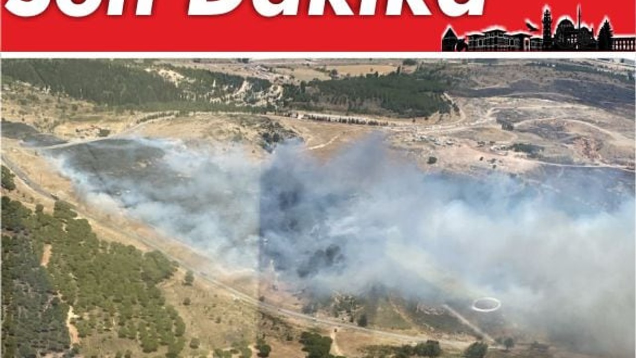 Ayvalık’ta Yangın : Sarımsaklı Plajı Tehlikede!