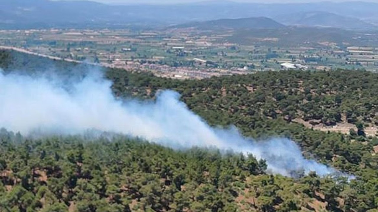 Balıkesir'de Çıkan Orman Yangını Kontrol Altında