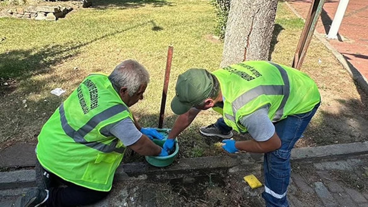 Burhaniye Belediyesi Sokak Hayvanları İçin Yeni Adımlar Attı