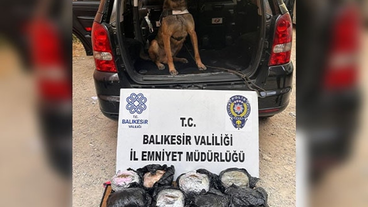 Narkotik Köpeği DANGAL İşbaşında
