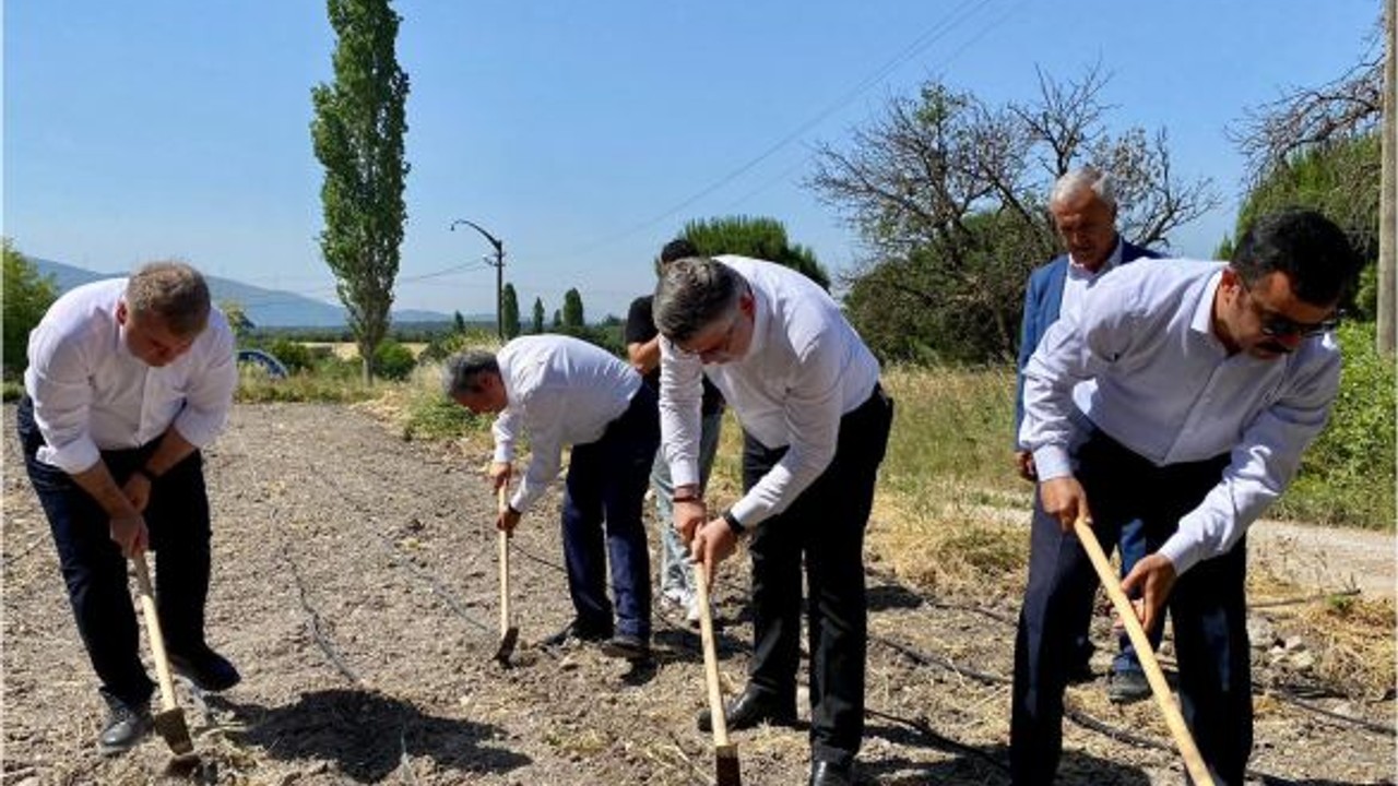 Savaştepe'ye Tarımda Yeni Kazanç Kapısı