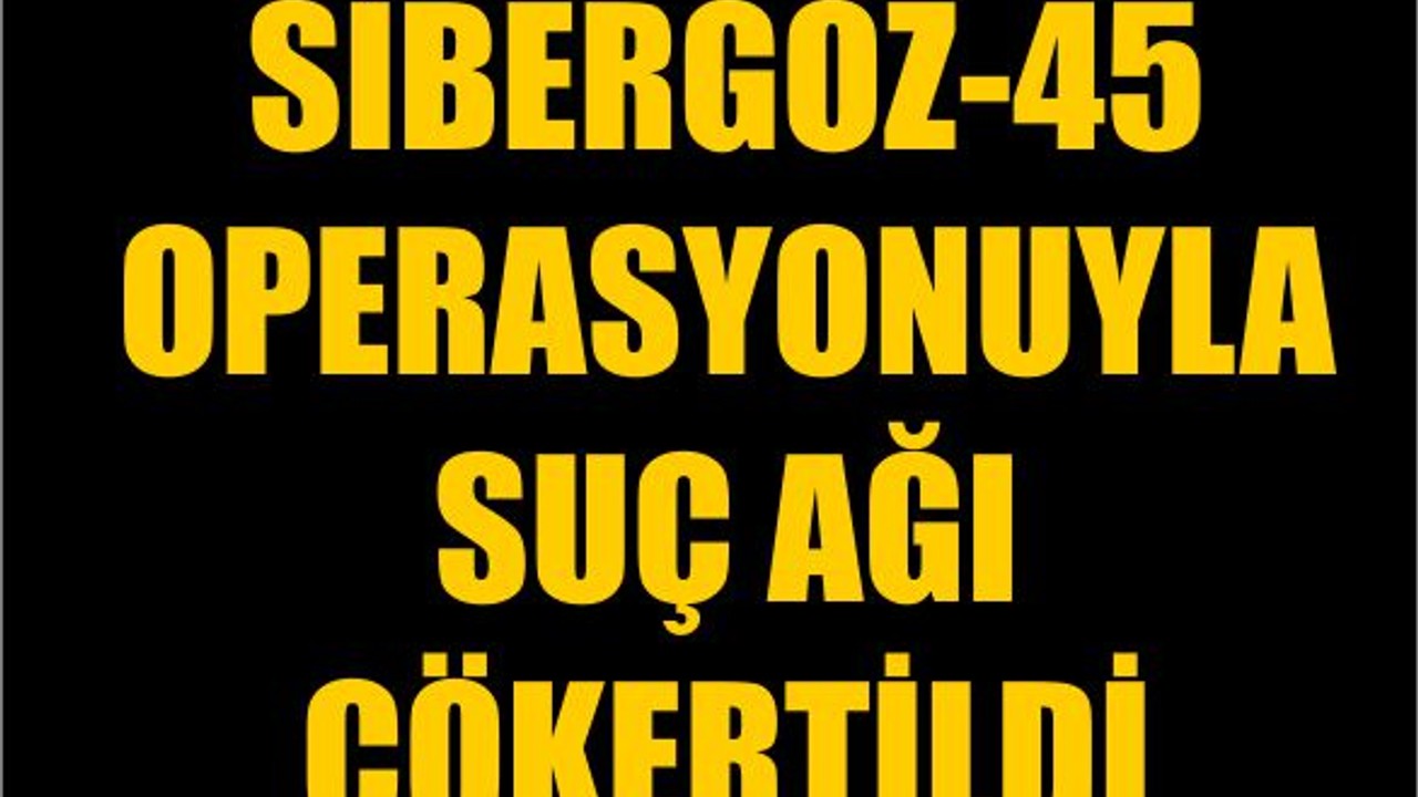 Sibergöz-45 Operasyonuyla Suç Ağı Çökertildi