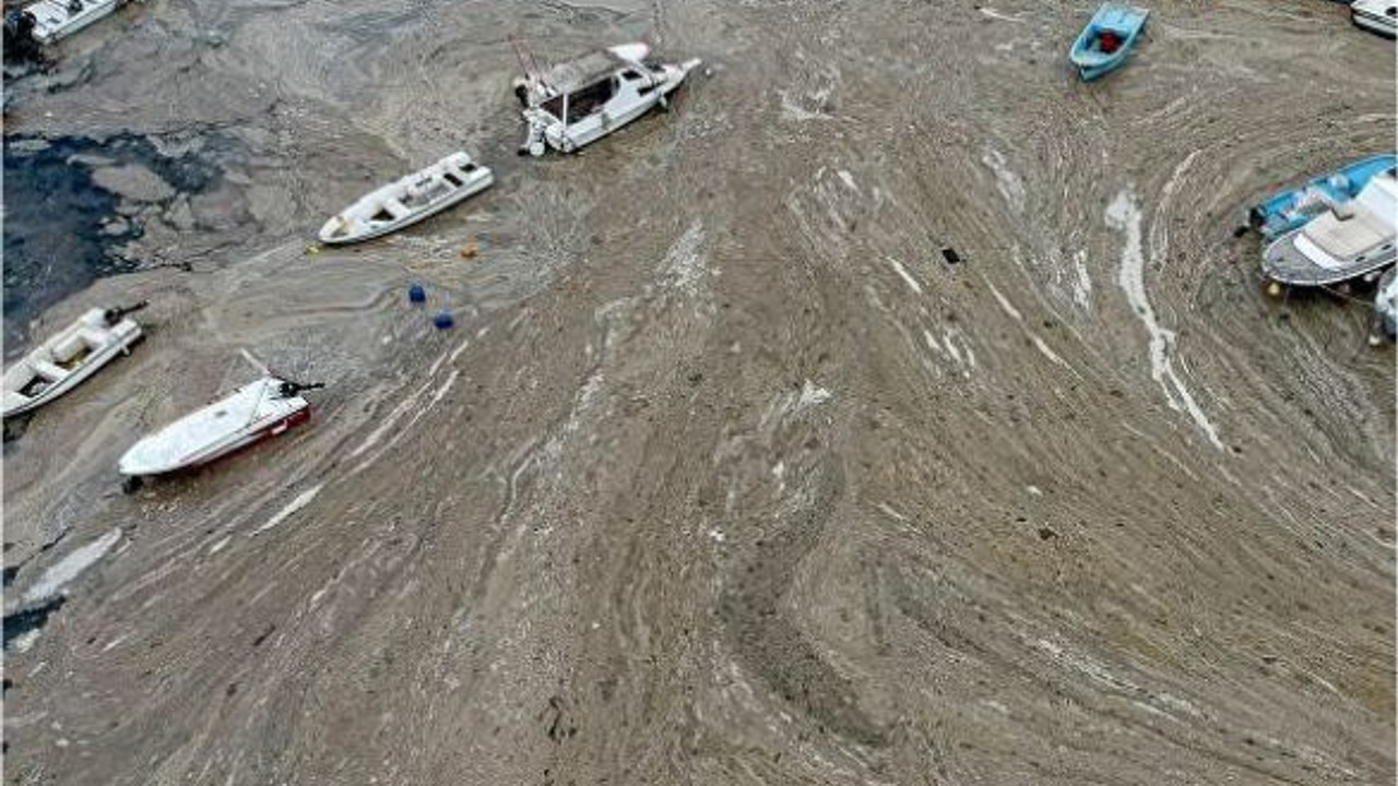 Marmara Denizi'nde müsilaj endişesi