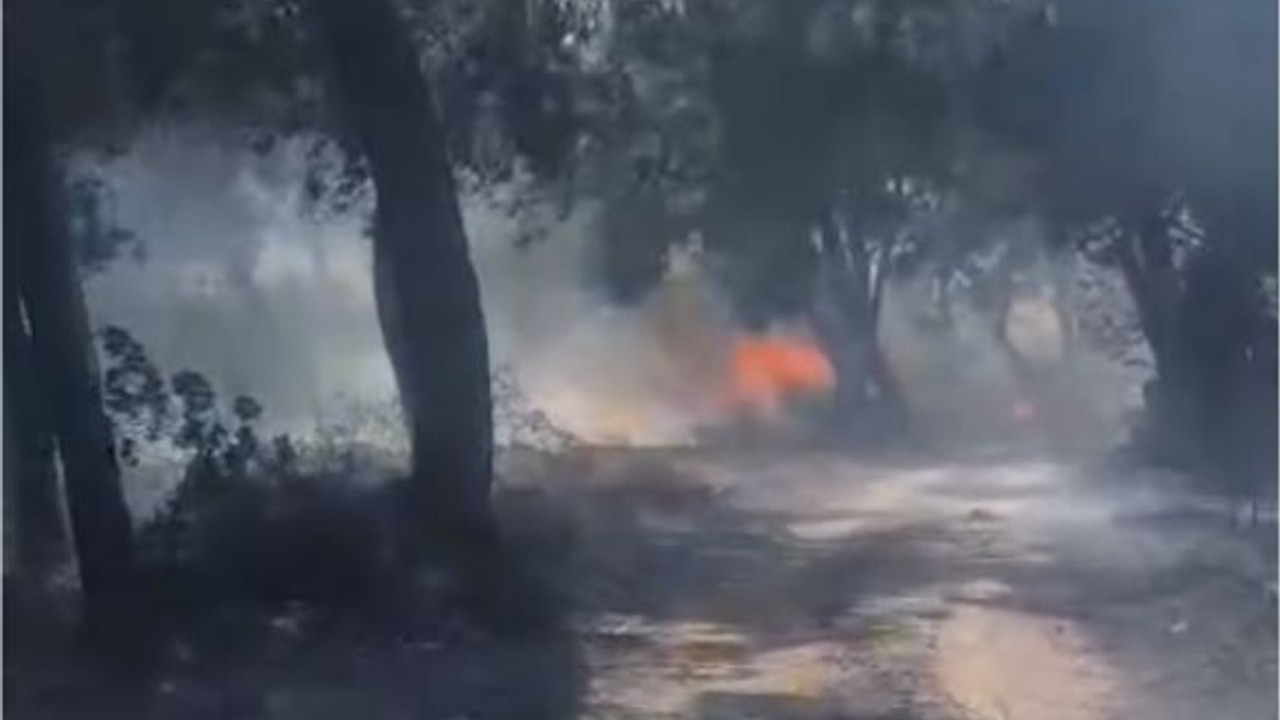 Savaştepe'de Bir Yangın Daha!