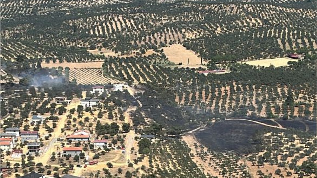Balıkesir'de çöplükten zeytinliğe ve tarım arazisine sıçrayan yangın söndürüldü