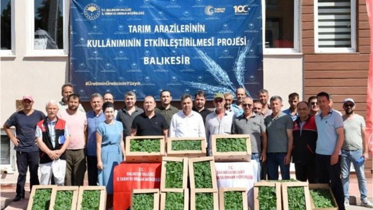 212 Bin Sebze Fidanı Balıkesir Toprağında
