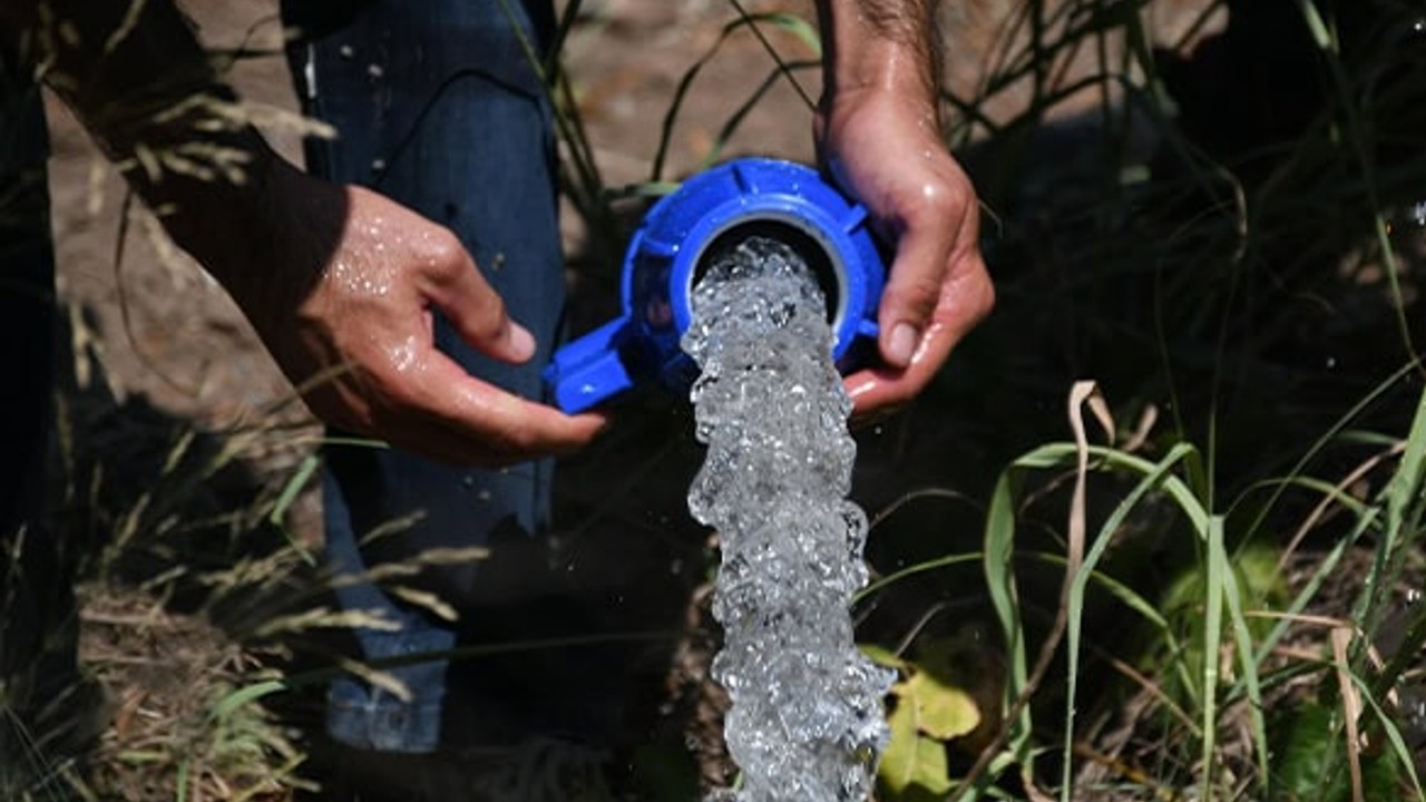 Erdek'in Zeytin Ağaçları Suya Kavuştu
