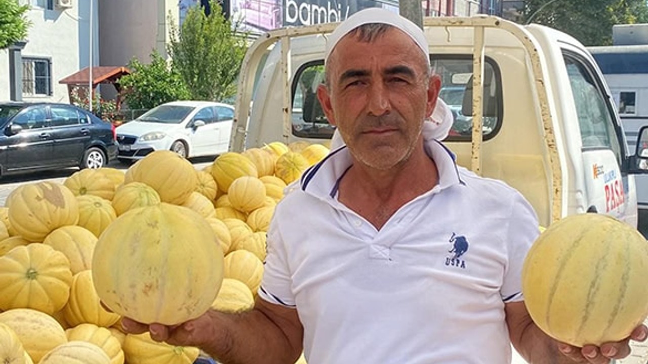 Gönen Kavunu Tezgahlardaki Yerini Aldı