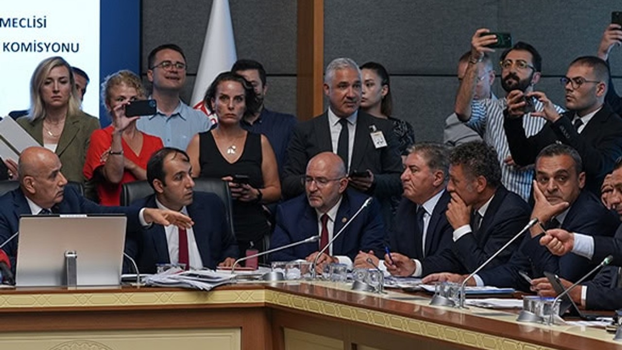 Hayvan Hakları Düzenleme Görüşmeleri Sürüyor