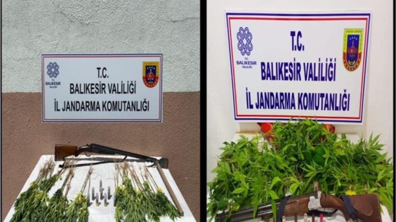 Kamu Arazileri Kenevir Tarlasına Dönüştürdüler!