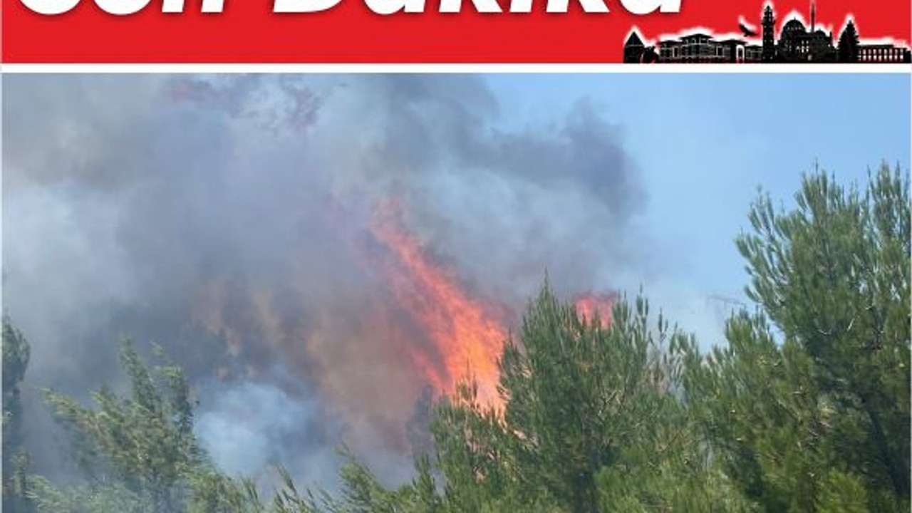 Son Dakika! Altıeylül'de Arazide Yangın Başladı