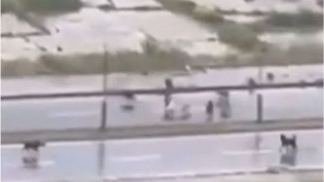 Başıboş Sokak Köpeklerinin Saldırısından Böyle Kurtuldu!