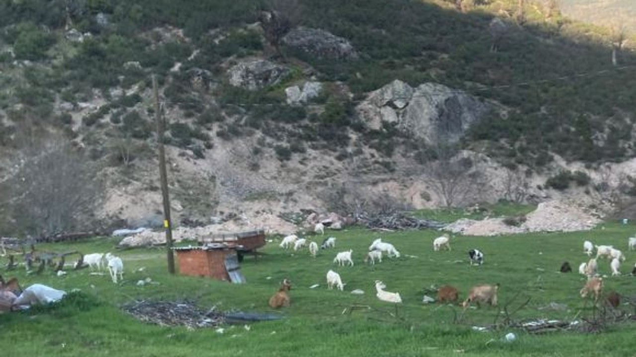 Bu Görüntüler Bigadiç’in Bir Köyünden