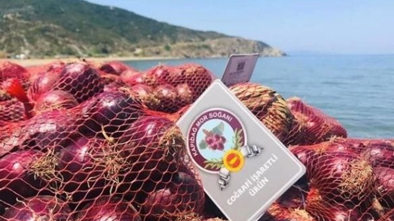 Balıkesir'in Mor Soğanı Bakın Nelere İyi Geliyor