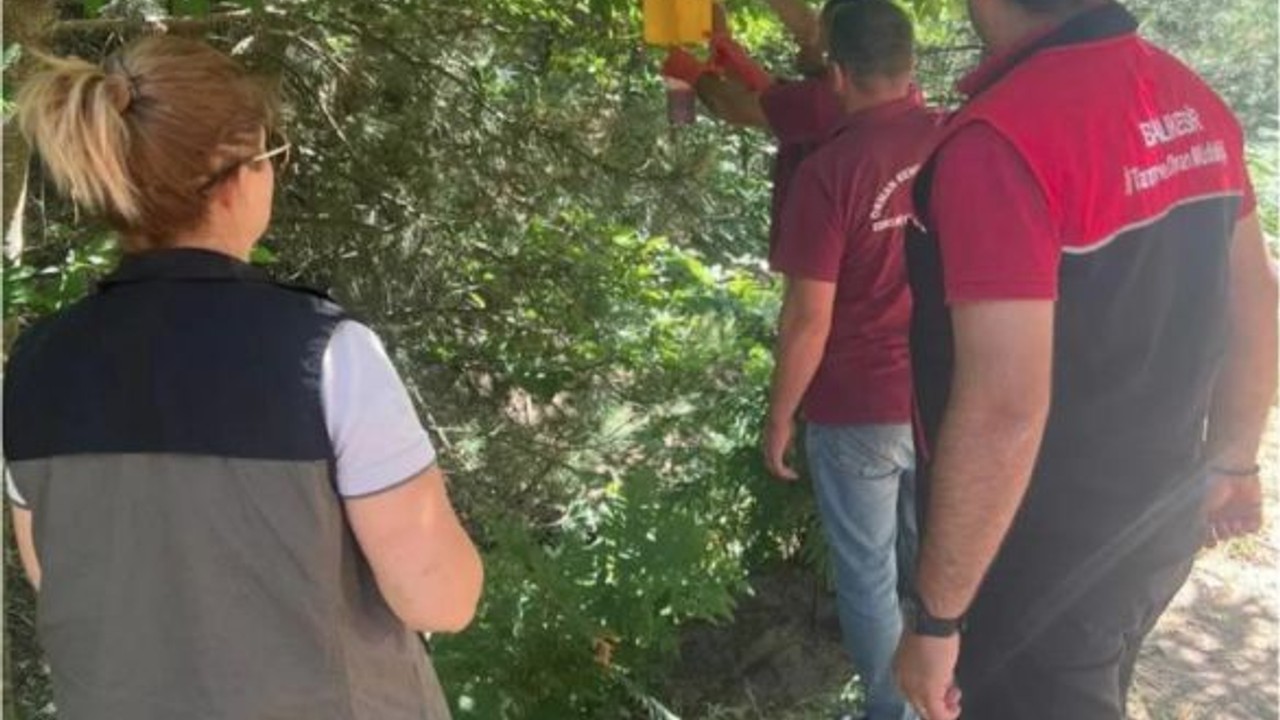 Havran'daki Çiftçiler Önlem İçin Tuzak Kurdu