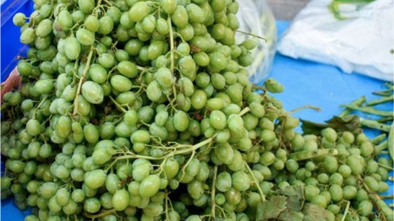 Balıkesir’de Koruk Kullanımı