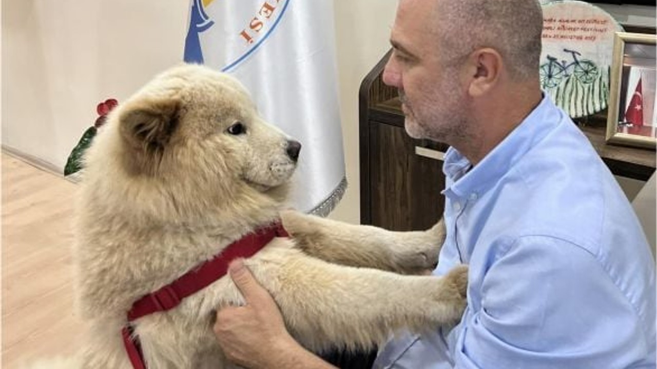 Joy’dan Başkan Dinçer’e Sürpriz Ziyaret