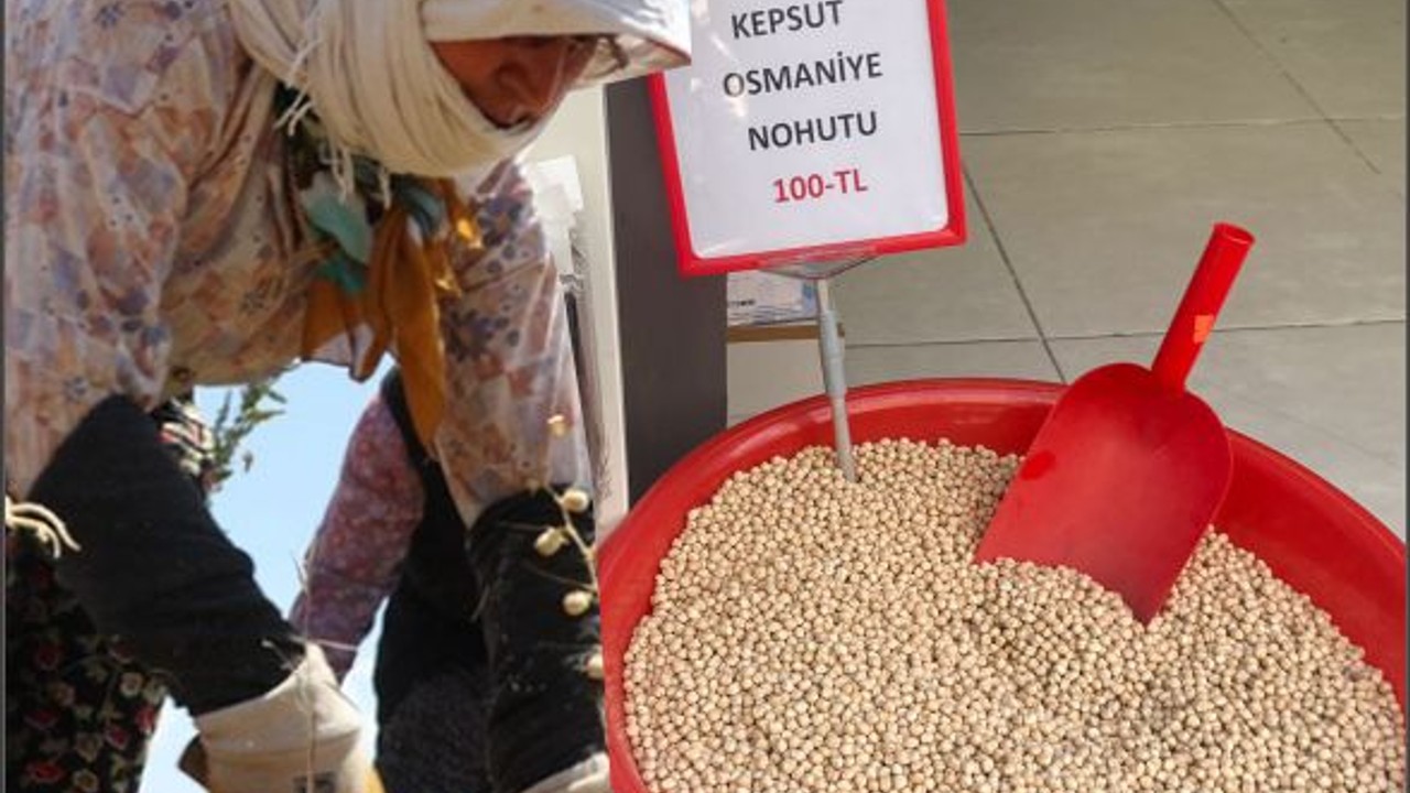 Kepsut Nohudundan Yapılacak Yemekler