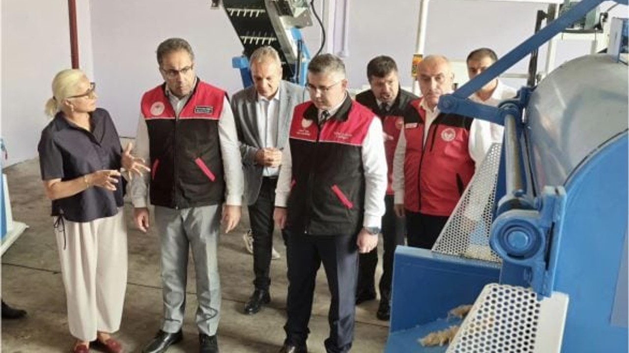 Gönen'de Başlatılan Yün Projesi Büyüyor