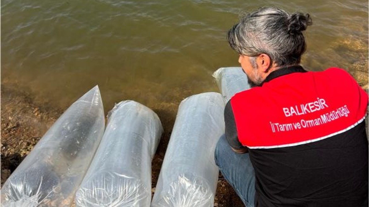 Balıkesir'in Göletlerine Yeni Balıklar Bırakıldı