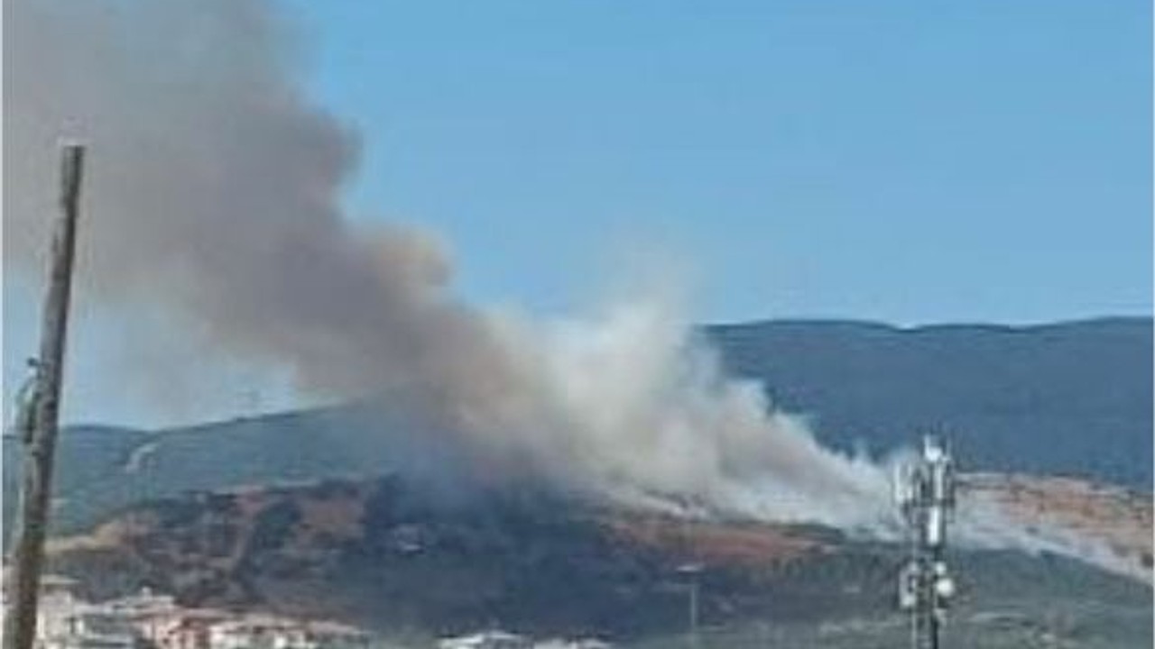 Balıkesir'de Orman Yangını Zeytinliklere Sıçradı