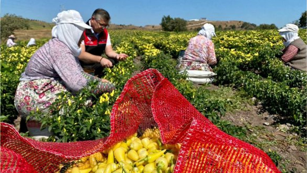 Balıkesir’in 3 belirgin özelliği